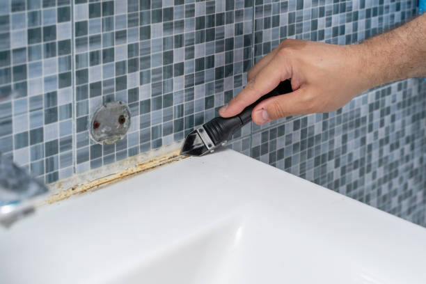 Home Mold Removal in Washington, IL